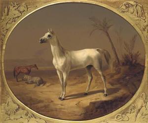 Theodor Horschelt A Grey Arabian Horse Norge oil painting art